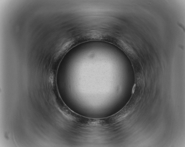 X0000097500072200802291606