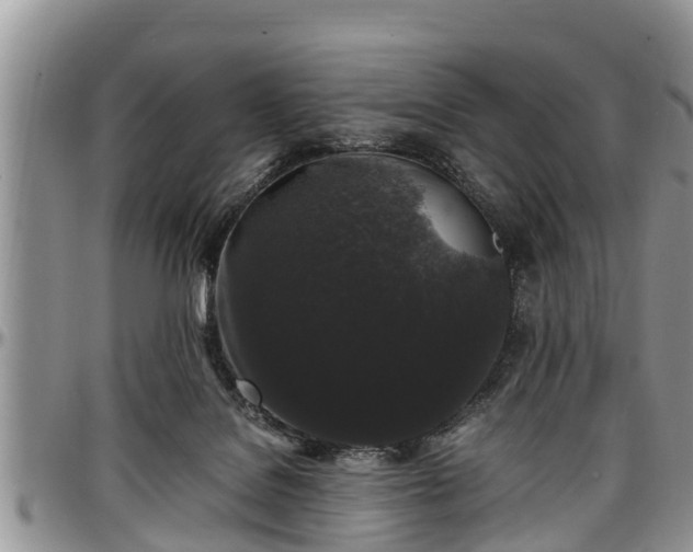 X0000097500076200802291606