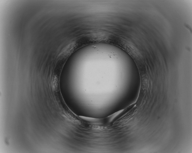 X0000097500077200802291606