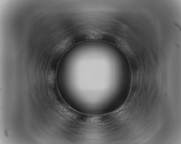 X0000097500078200802291607