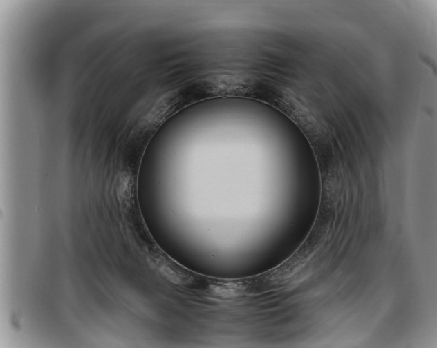 X0000097500079200802291607