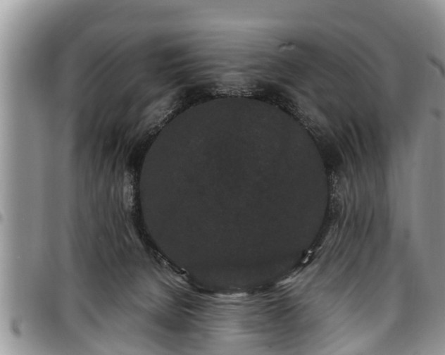 X0000097500080200802291607