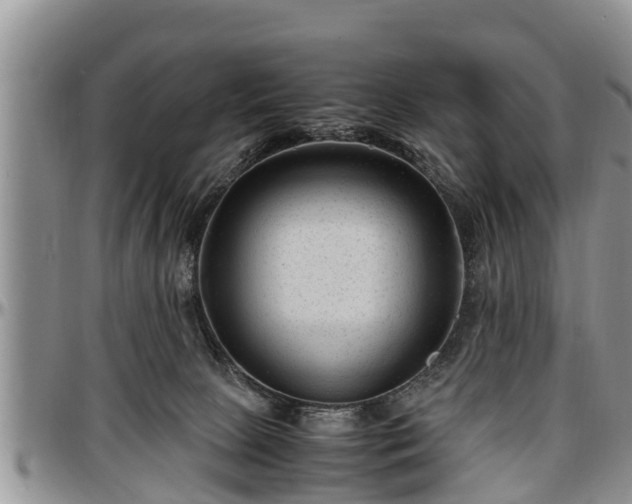 X0000097500081200802291607