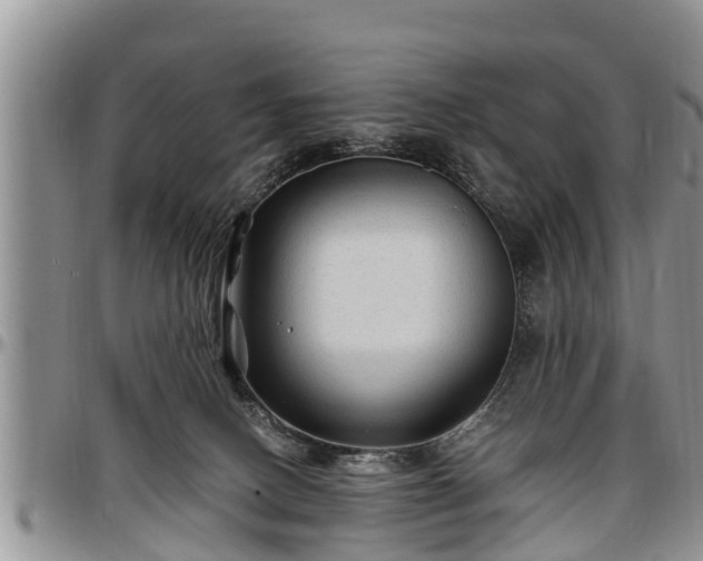 X0000097500082200802291607