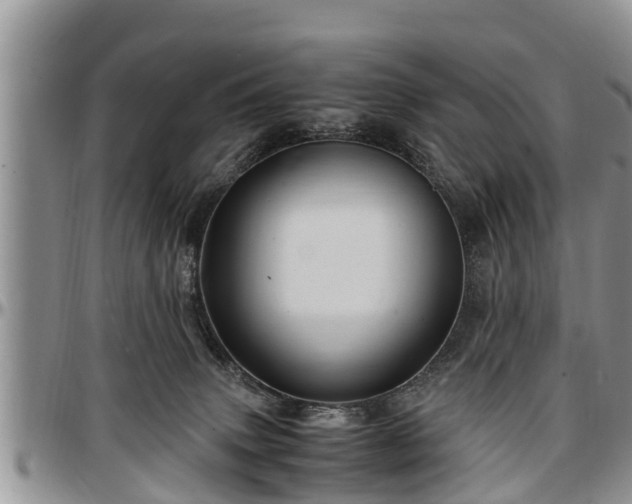 X0000097500083200802291607