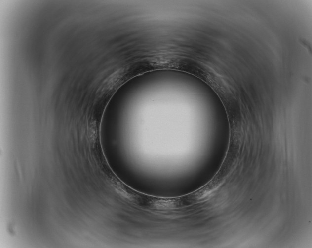 X0000097500085200802291607