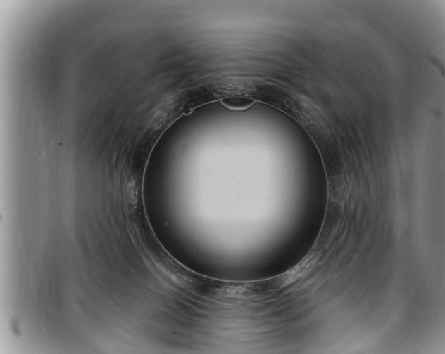 X0000097500086200802291607