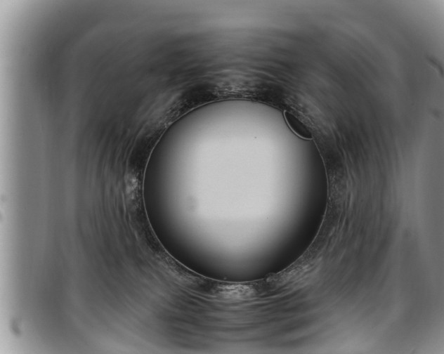X0000097500087200802291607