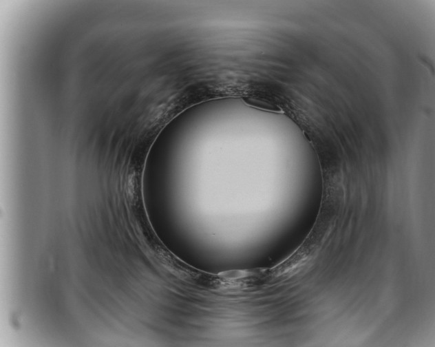 X0000097500088200802291607