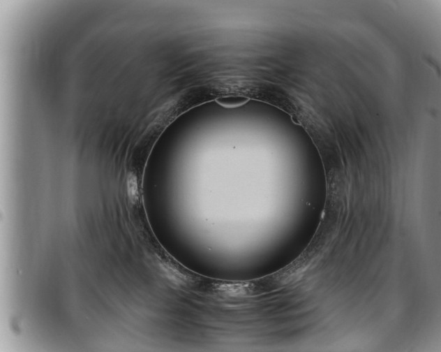 X0000097500089200802291607