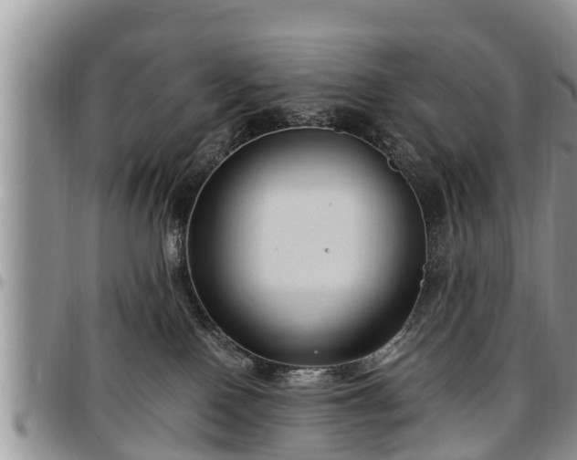 X0000097500090200802291607