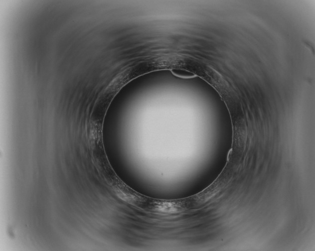 X0000097500091200802291607