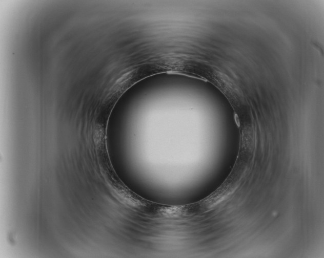 X0000097500092200802291607