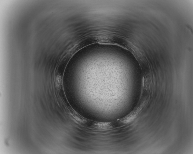 X0000097500093200802291607