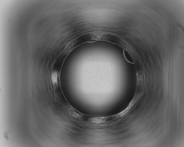 X0000097500094200802291607