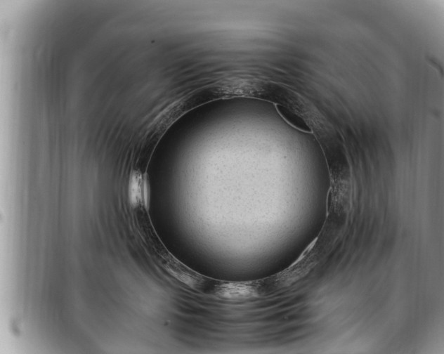 X0000097500095200802291607