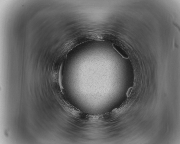 X0000097500096200802291607