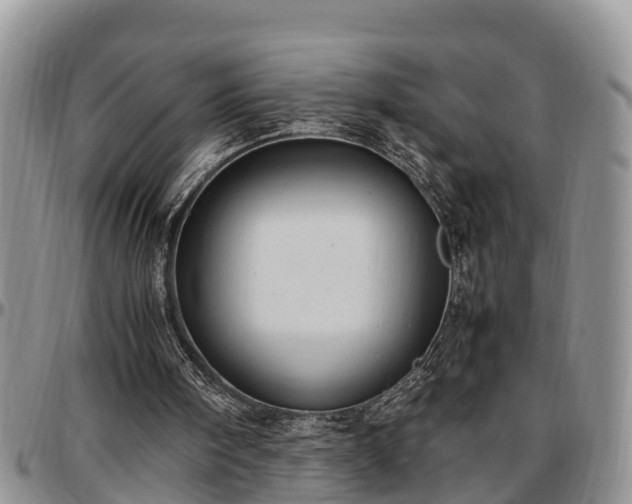 X0000097500098200802291606