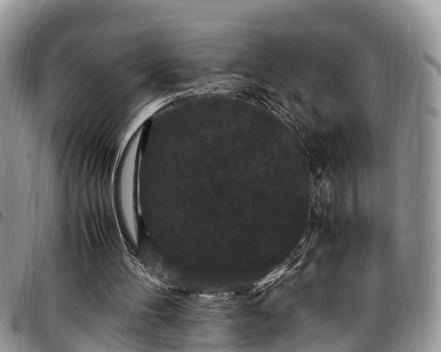 X0000097500100200802291606