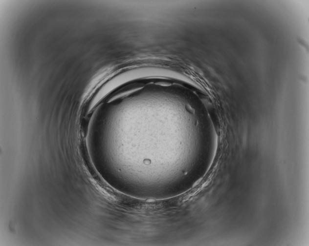 X0000097500101200802291606