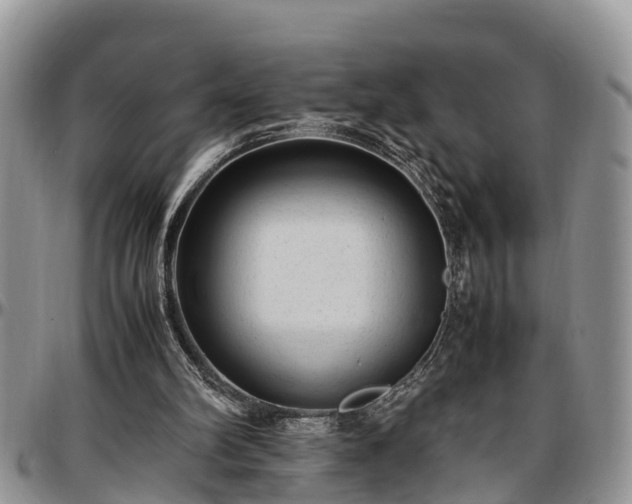 X0000097500102200802291606