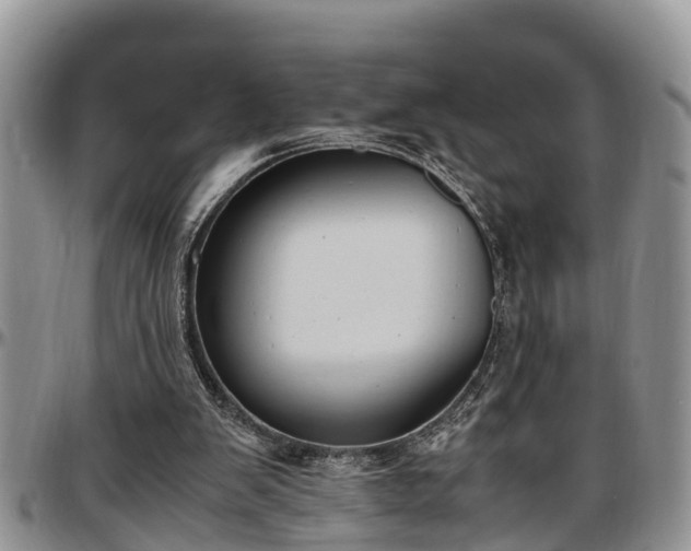 X0000097500103200802291606