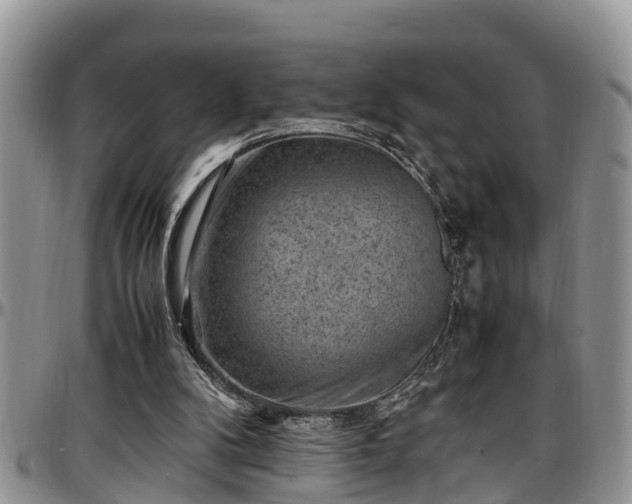 X0000097500104200802291606