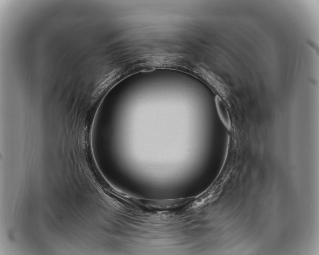 X0000097500105200802291606