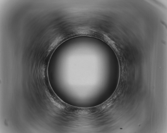 X0000097500106200802291606