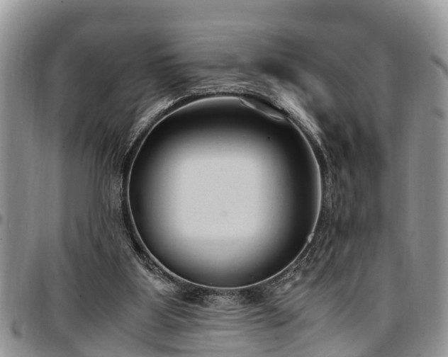 X0000097500107200802291606