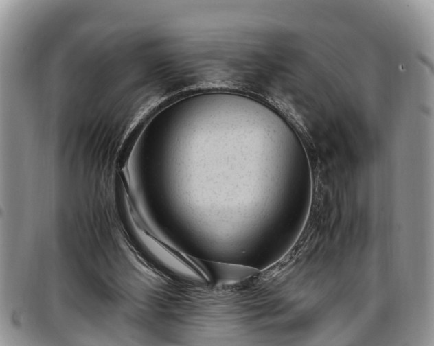X0000097500108200802291606