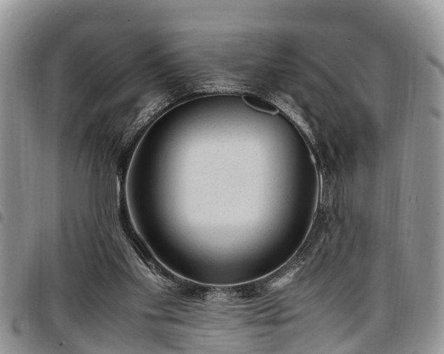 X0000097500109200802291606