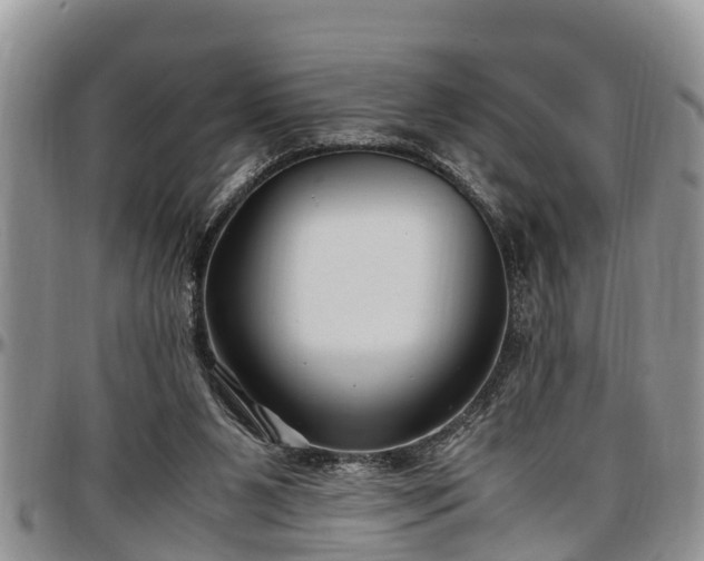 X0000097500111200802291606