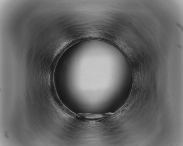 X0000097500112200802291606