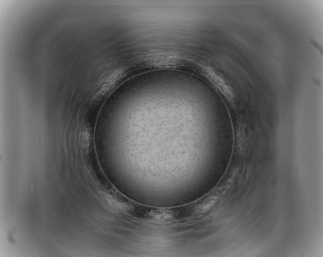 X0000097500113200802291606