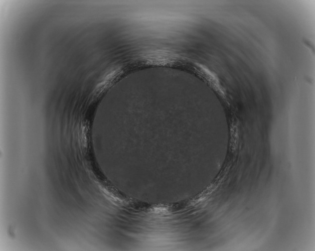 X0000097500114200802291606