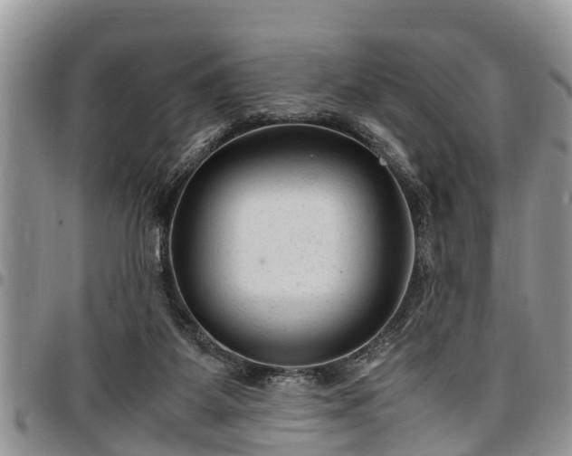 X0000097500115200802291606