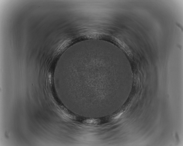 X0000097500117200802291606