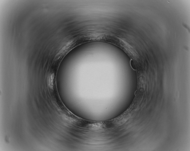 X0000097500118200802291606