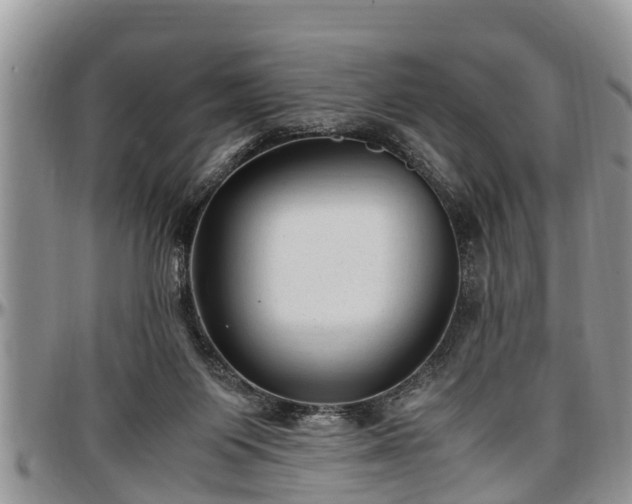 X0000097500119200802291606