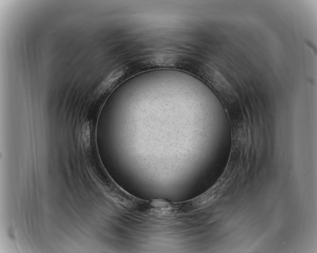 X0000097500120200802291606