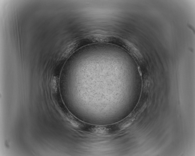 X0000097500121200802291606