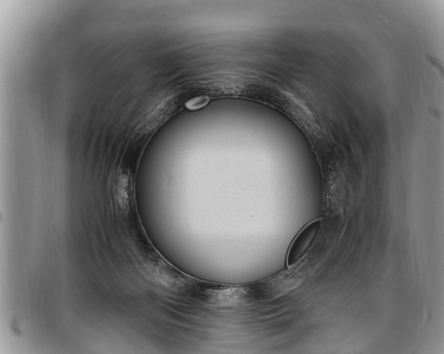 X0000097500122200802291606