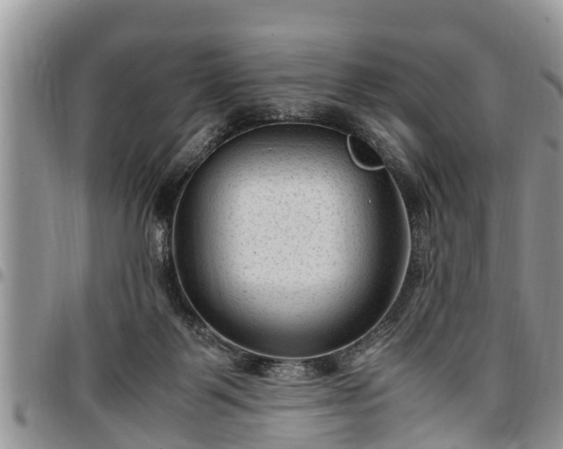 X0000097500123200802291605