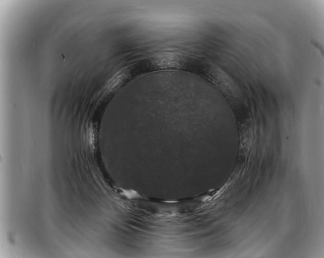 X0000097500124200802291605