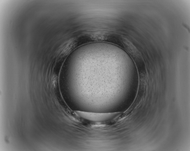 X0000097500125200802291605