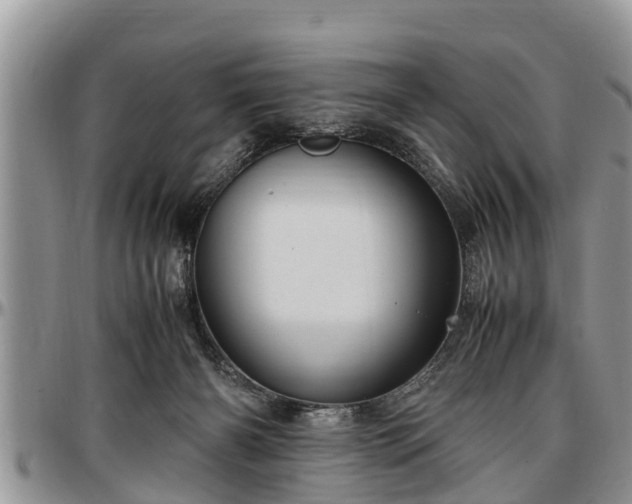 X0000097500126200802291605