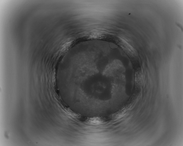 X0000097500127200802291605
