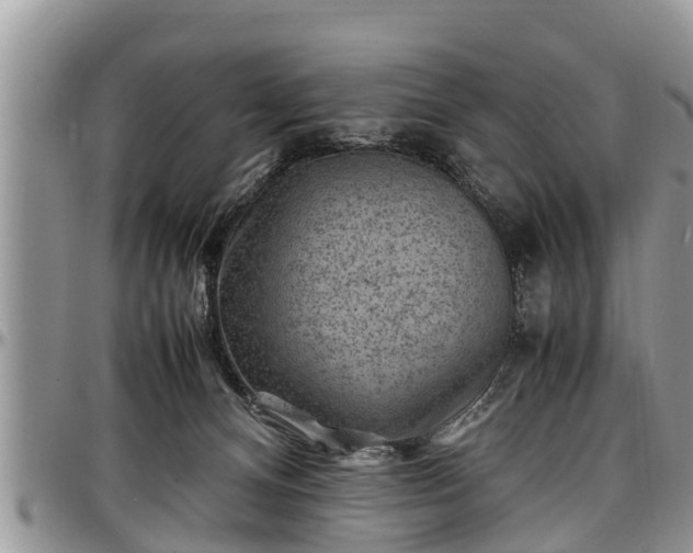 X0000097500128200802291605
