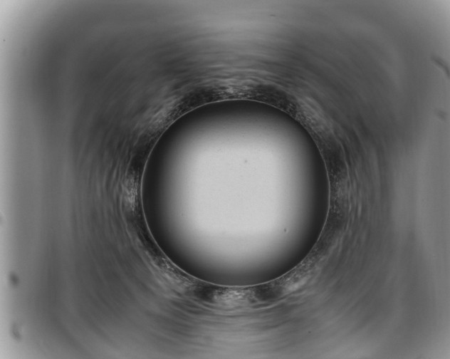 X0000097500129200802291605